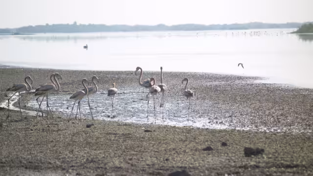Al pasar de los años, las personas comenzaron a dedicarse a la pesca y fueron abandonando la extracción de sal, una de las actividades más fuertes del lugar