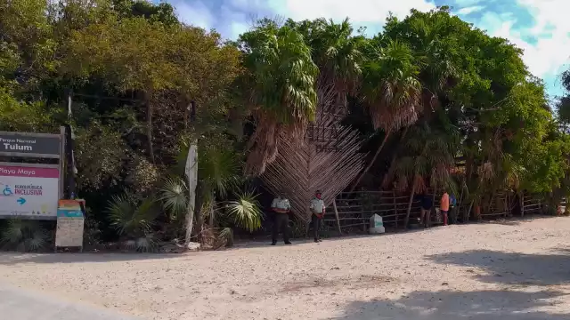 Punta Piedra en Tulum se nota descuidada con exceso de sargazo