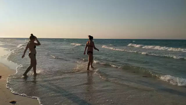 Cancunito es considerada como una playa virgen que cobija infinidad de fauna y vegetación