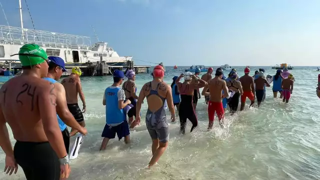 La competencia cuenta con el aval de la Federación Mexicana de Natación, así como la Comisión Nacional de Cultura Física y Deporte