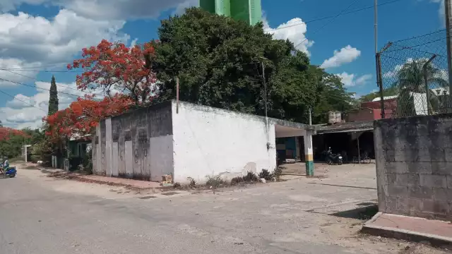 Para construir su cancha se deberá de retirar varios árboles históricos de Yaxkukul