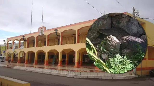 Varias serpientes han sido encontradas en calles de Hoctún