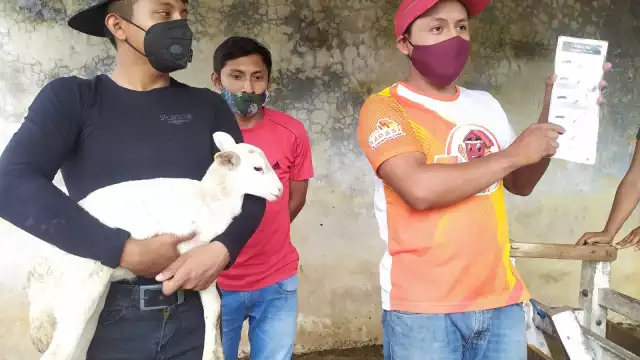 Buscan trascender en mercado más exigentes con un producto agregado