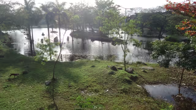 Con este gran pulmón se pretende mejorar las condiciones ambientales, sociales, patrimoniales y de movilidad urbana del entorno