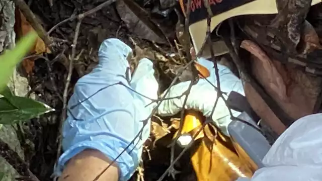 Tras una filtración en medios de comunicación, la FGE Q.Roo re conoció el hallazgo de fosas clandestinas en Alfredo V. Bonfil