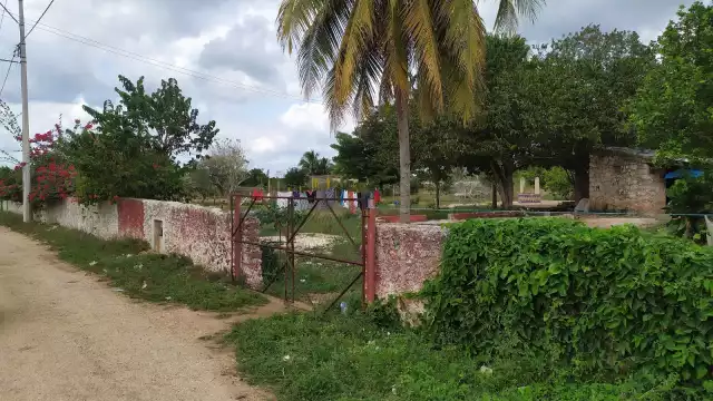 Sospechan de perros callejeros o tiguillos, pero vecinos sospechan del Huay Chivo