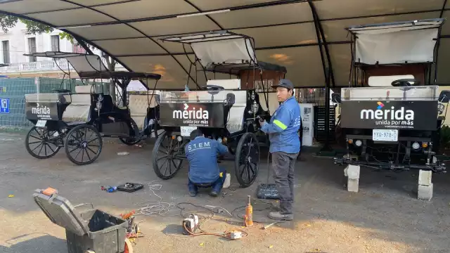 “De las seis calesas ya son varias las que no funcionan y necesitan refacciones”, expresó el consultor Alfonso González