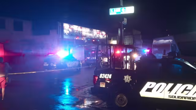 Las corporaciones policíacas hacen uso del binomio canino para detectar alguna sustancia ilícita