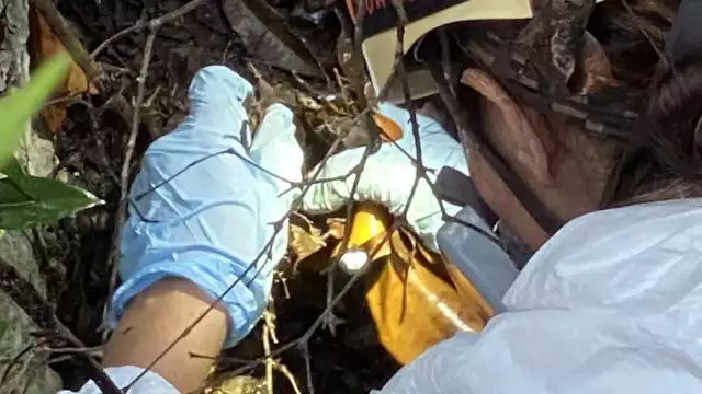 Tras filtrarse la información del hallazgo, la Fiscalía de Quintana Roo empezó a tuitear al respecto