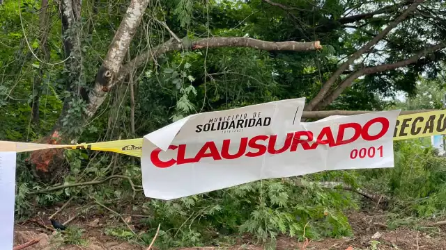 Las autoridades solicitaron la documentación pertinente pero los encargados no mostraron ningún tipo de permiso