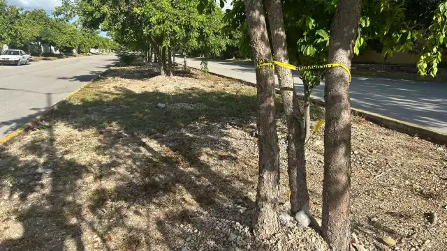 Autoridades acordonaron el área para proceder con el levantamiento del cuerpo