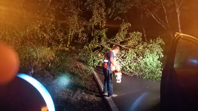 Fuertes lluvias dejan varias afectaciones en Tekax