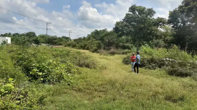 FOTO: Reserva Cuxtal