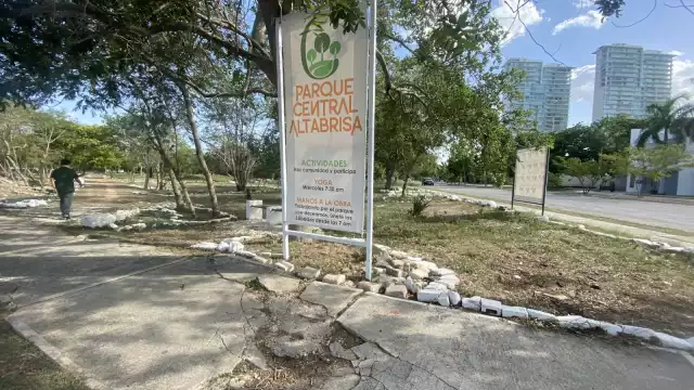 Vecinos de Altabrisa piden árboles al Ayuntamiento de Mérida para sembrarlos en un parque