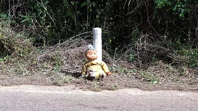 Algunos piensan que es una broma de mal gusto