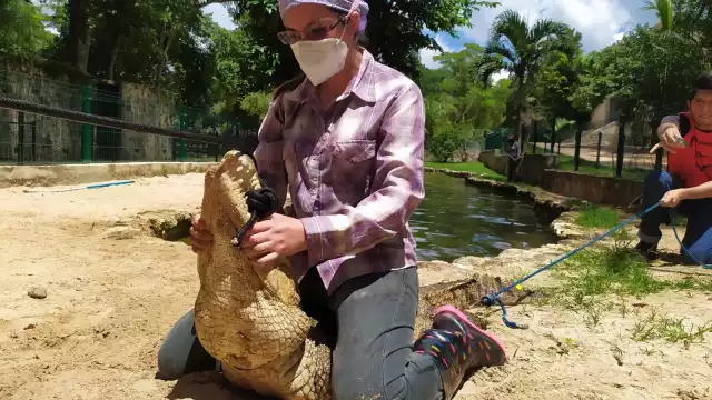La agrupación COMAFFAS A.C. de Chiapas avaló este taller impartido por Domínguez Laso