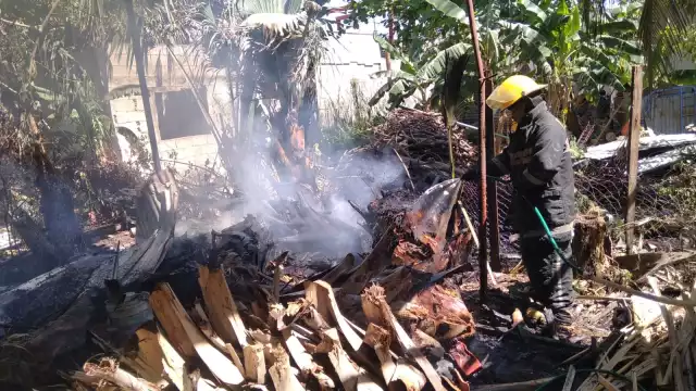 Los menores de 5 y 6 años de edad, fueron sacados a tiempo de las llamas