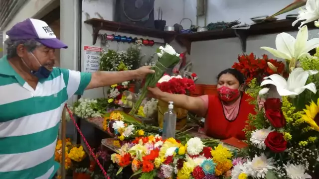 Las floristas están descapitalizadas para la compra de más plantas estos días