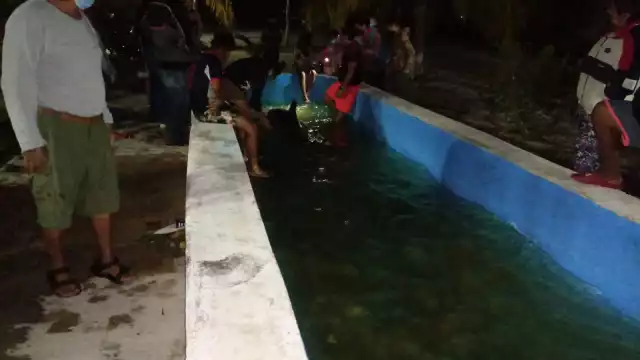 La orca había recalado debido al Frente Frío