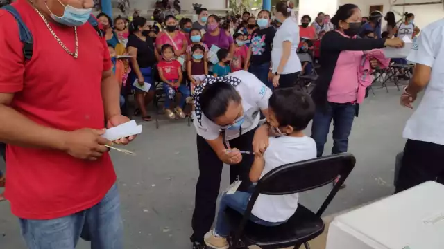 Los niños y niñas recibirán la dosis de Pfizer, la única autorizada para ser utilizada en personas menores de 18 años en México