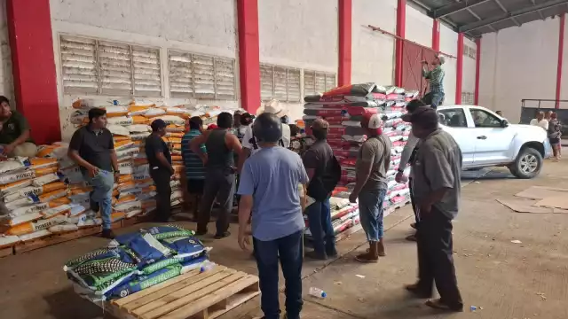 Entregan semilla subsidiada a más de 2 mil productores en Hecelchakán