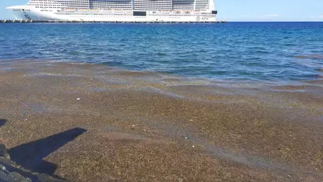 Autoridades de la Zona Federal, Marítima y Terrestre ( Zofemat) no han informado nada sobre las primeras acciones