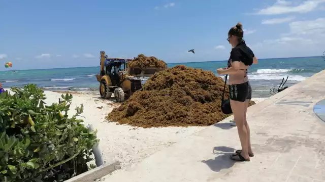 Playa del Carmen es una de los destinos turísticos que en 2021 se vio afectada por el recale masivo de sargazo en ciertos arenales