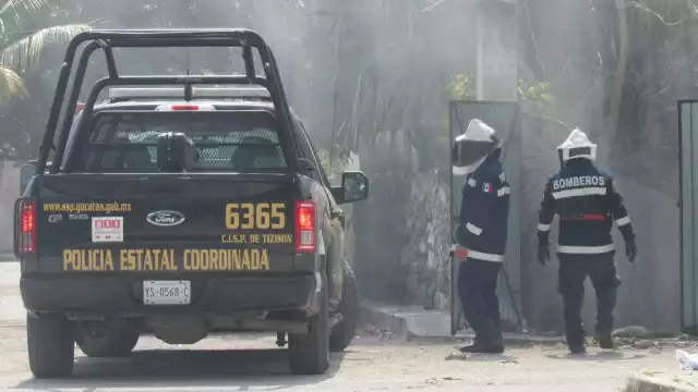 Debido al Sol y al calor los animales se alborotaron e invadieron los predios cercanos