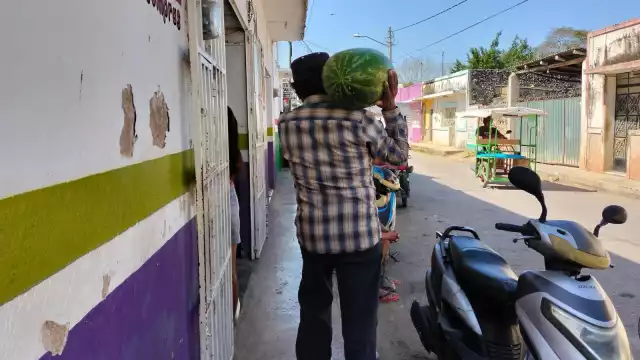 Temen que se les acumule el producto por la buena producción