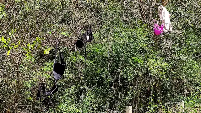 Además de la ropa, hallaron envases de bebidas alcohólicas y preservativos en tramo Peto-Tzucacab