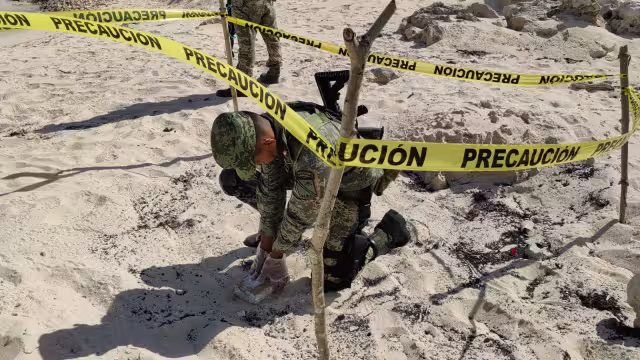 En lo que va del mes suman dos recales en esa zona de playa.