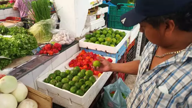 La baja cosecha del producto ha propiciado que los abastecedores del zoco lo traigan desde otras Entidades como Tabasco