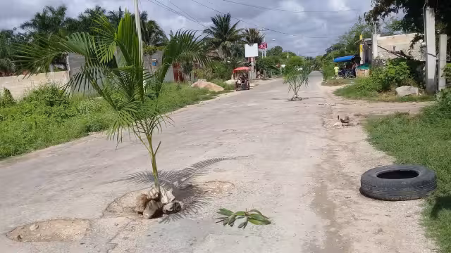 FOTO: Facebook Rebeca S.