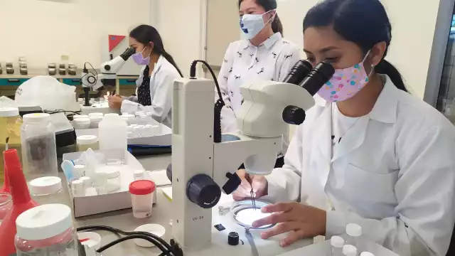 Día Internacional de la Mujer y la Niña en la Ciencia