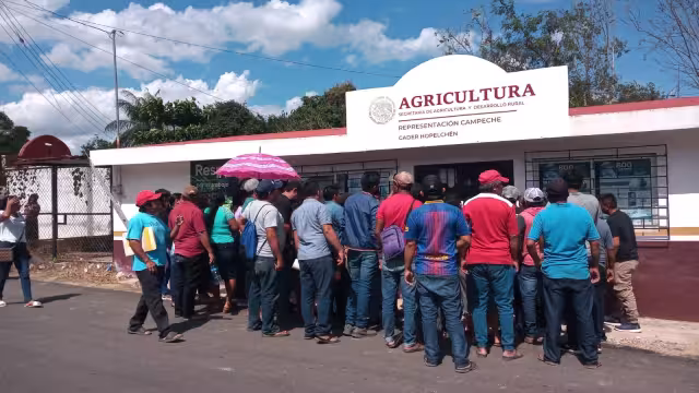 La Secretaría de Desarrollo Rural entregará fertilizantes a campesinos de Hopelchén