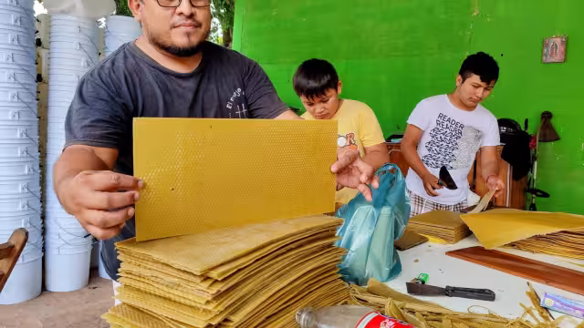 Los apicultores intercambian la materia prima por hojas del producto una vez finaliza el proceso; dicen preferir lo natural, pues el fabricado parece plástico