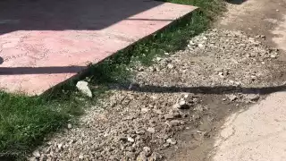 Colonia Lázaro Cárdenas de Calderitas, localidad olvidada por las autoridades