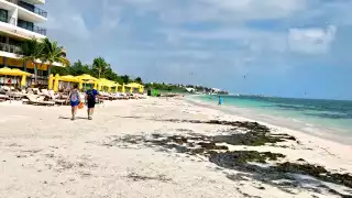 PNAM detecta 25 hoteles de Puerto Morelos sin licencia para el uso de playas 