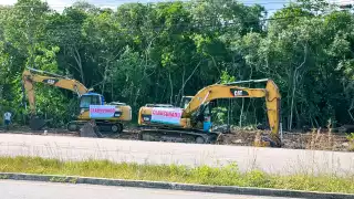 Detienen devastación de área verde en Puerto Morelos