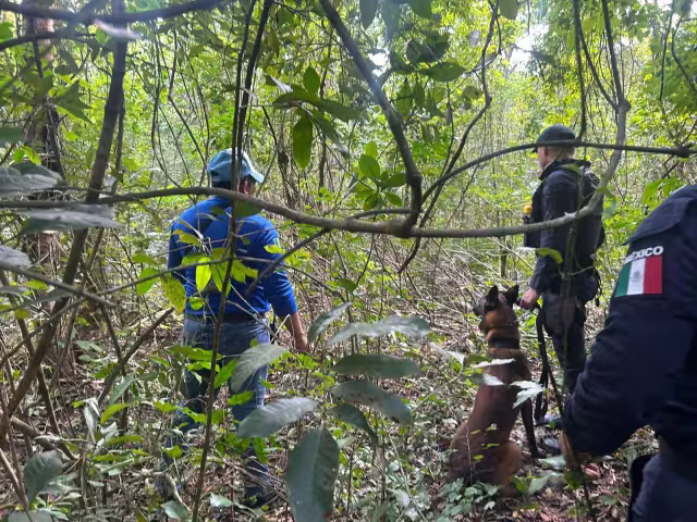 De enero a lo que va de mayo, han desaparecido 402 personas, de acuerdo con la Comisión Nacional de Búsqueda; la mayoría de los reportes son de Cancún