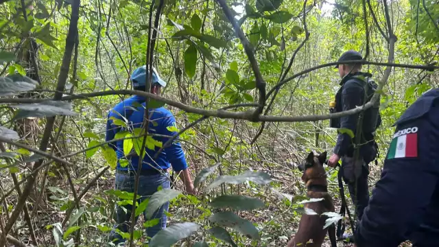 De enero a lo que va de mayo, han desaparecido 402 personas, de acuerdo con la Comisión Nacional de Búsqueda; la mayoría de los reportes son de Cancún