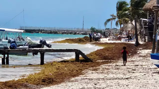 El fenómeno causó la suspensión de diversas labores, generando daños millonarios