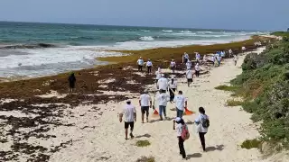   Arranca en Puerto Morelos la Estrategia Nacional de Limpieza y Conservación de Playas y Costas   