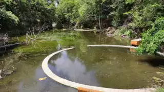 33 puntos de la Península de Yucatán, con calidad de agua no apta para el ser humano: Conagua