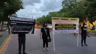 Manifestantes protestan por los derechos animales en el  Día Nacional del Caballo en Mérida