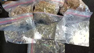 Decomisan drogas durante cateos en paqueterías de Campeche