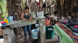 Plantas de cerdos “dejan huellas de su crimen” y queda impune, señala un activista