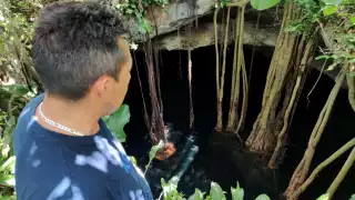 Los organoclorados y sus metabolitos causan enfermedades y otras afectaciones al ser humano