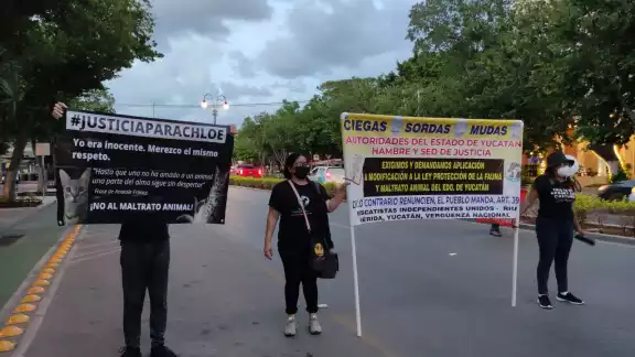 Manifestantes asegurann que s una incongruencia que se celebre un Día Nacional y existan caballos caleseros Manifestantes asegurann que s una incongruencia que se celebre un Día Nacional y existan caballos caleseros