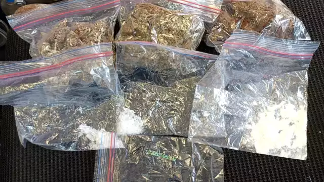 Se desconoce la procedencia y destino de las drogas aseguradas en Campeche